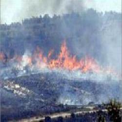 المستوطنون يحرقون أراضي زراعية جنوب نابلس