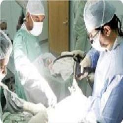 وزارة الصحة: فريق طبي ينجح لأول مرة في استئصال الكتلة الورمية المسببة لنوبات الصرع